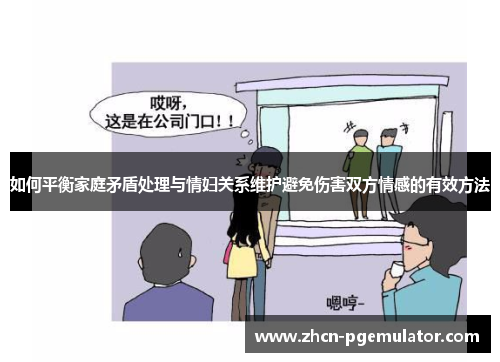 如何平衡家庭矛盾处理与情妇关系维护避免伤害双方情感的有效方法