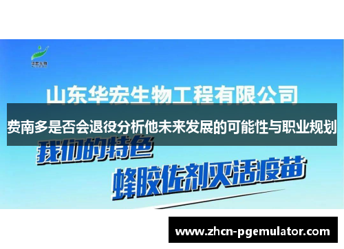 费南多是否会退役分析他未来发展的可能性与职业规划