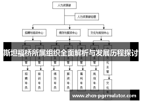 斯坦福桥所属组织全面解析与发展历程探讨